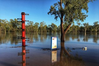 Emergency declared as river rises in St George