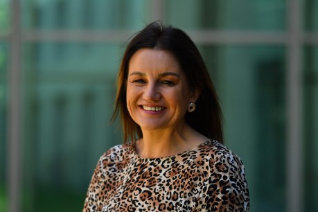 Lambie says climate change plan her top priority