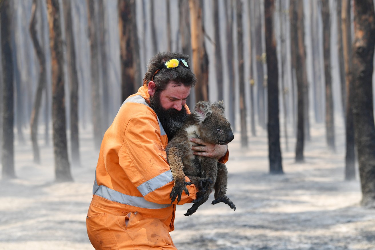 Many of the symptomatic effects of the Black Summer bushfires are still being felt.  (Photo: David Mariuz/AAP PHOTOS)