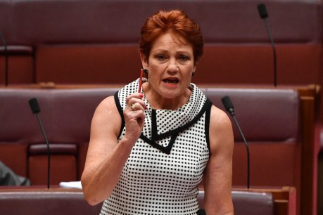 Money for nothing: Pauline set for windfall despite plunge in voting support