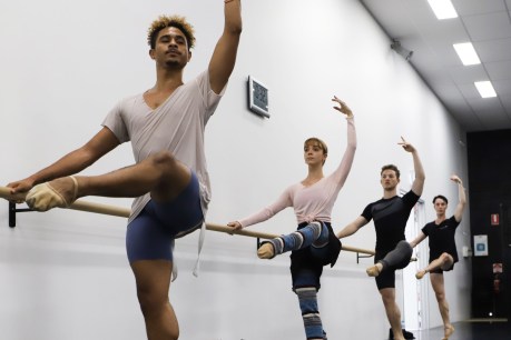 Queensland Ballet dancers are back in the studio