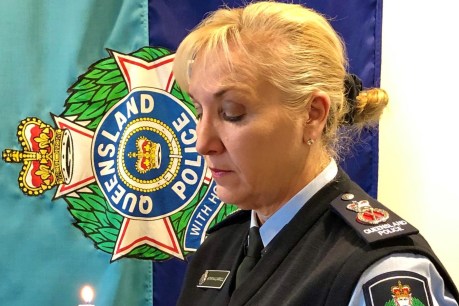 State’s top cop tells court of discontent in police ranks over Covid checkpoints