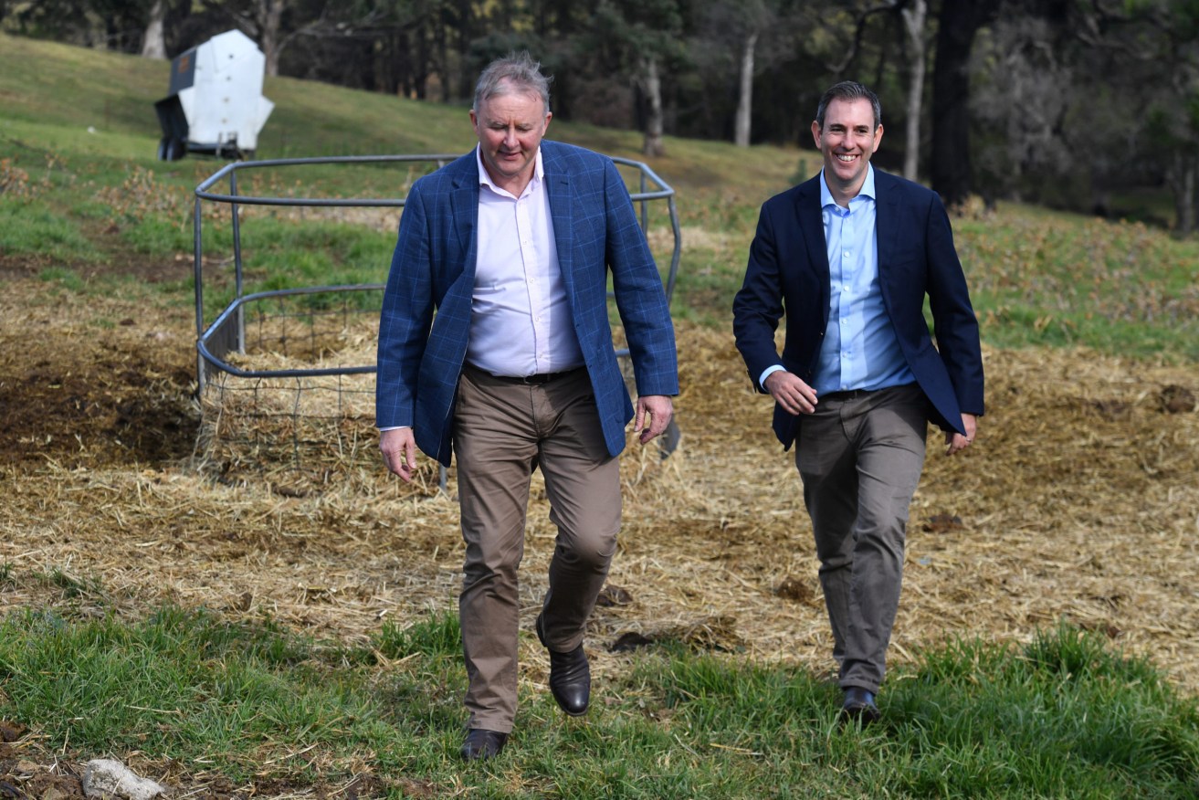 Shadow Treasurer Jim Chalmers and Leader of the Opposition Anthony Albanese. (Photo: AAP Image/Mick Tsikas) 