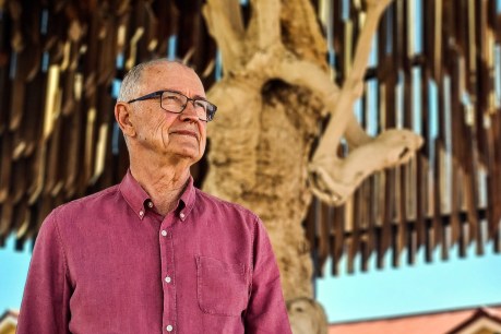 Ross Garnaut was Australia’s climate change guru. Why is he living in a remote western Qld town?