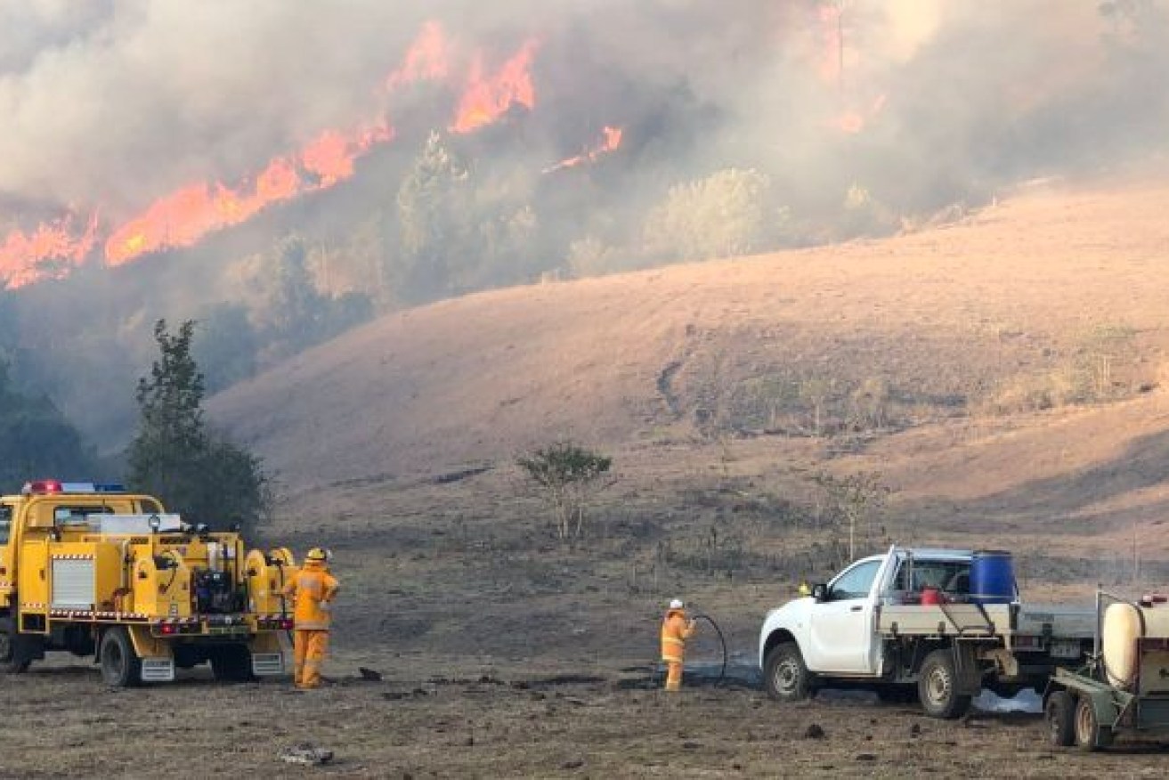 Rural firefighters battle a large bushfire burning at Sarabah in the Gold Coast hinterland in 2019. Photo: ABC