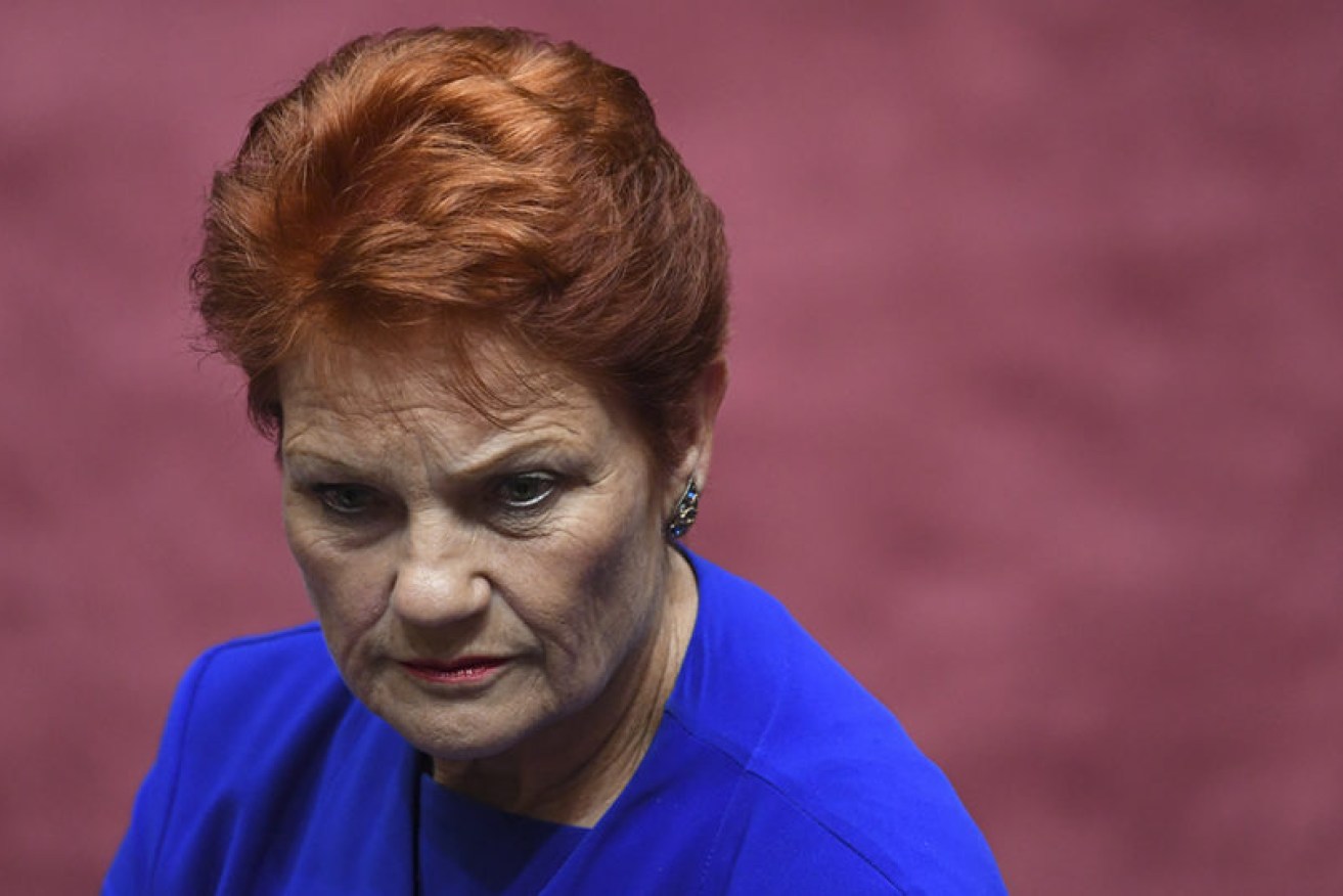 Pauline Hanson's preference deals may be the final straw for the Coalition in a handful of pivotal seats. (file image).