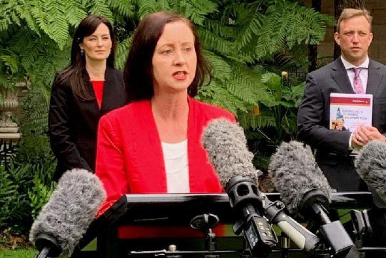 Queensland Health Minister Yvette D'Ath says home quarantine for fully vaccinated visitors will start on November 19 at the latest. Photo: ABC