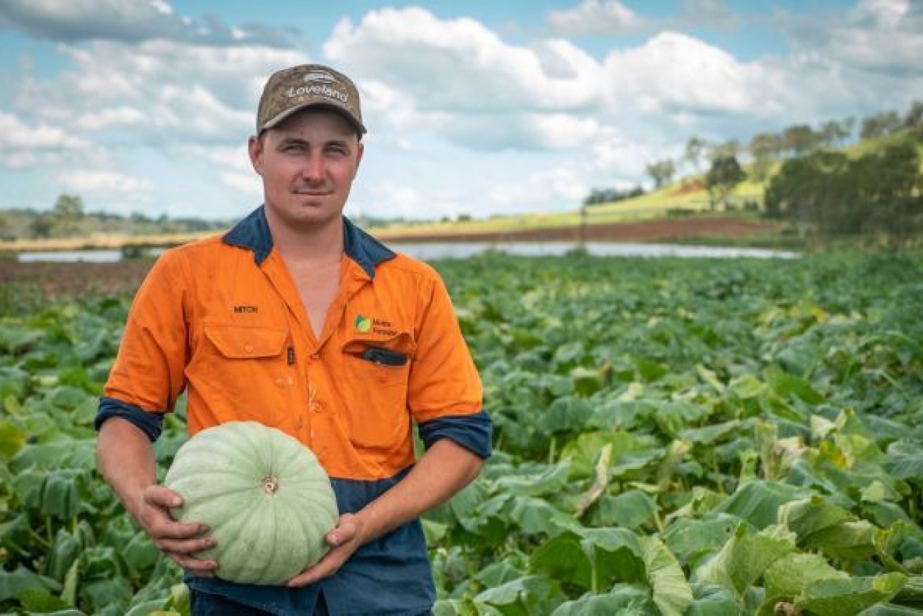 Mitch Brimblecombe manages a family farm on the Scenic Rim in Southern Queensland. Photo: ABC