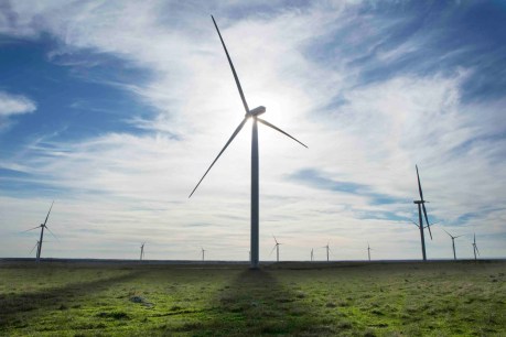 Blown away: Feds veto $370 million NQ wind farm project