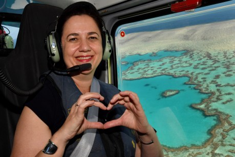 National Party the biggest threat to Great Barrier Reef: Palaszczuk