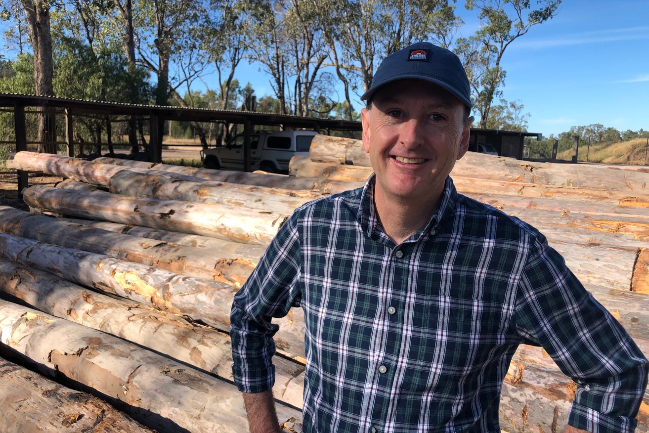 Timber Queensland CEO Mick Stephens, with eucalyptus hardwood logs that are becoming increasingly scarce.