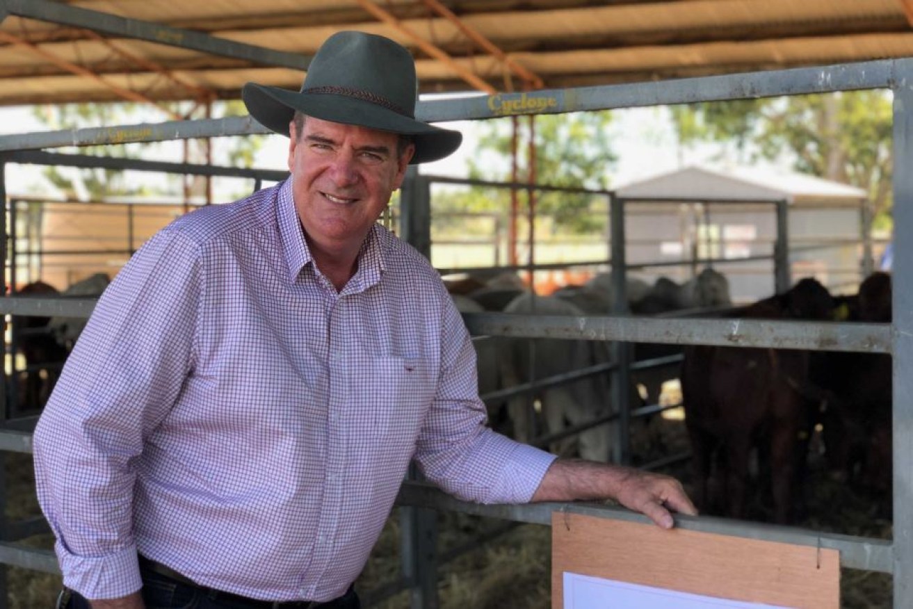 Agriculture Minister Mark Furner is bound for Vietnam to boost trade. (ABC photo).