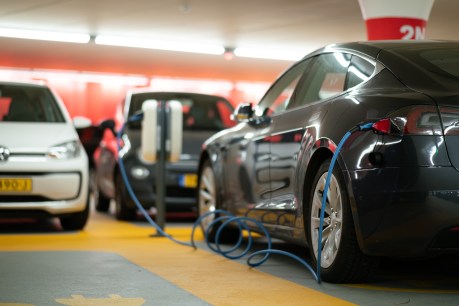 Council pushes Canberra to get serious about electric vehicles