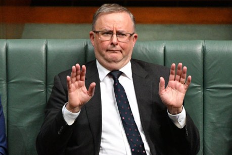 With the PM under COVID ‘house arrest’, Albo has been everywhere, man
