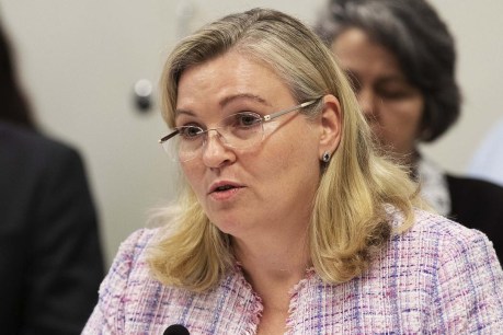 Stepanov says integrity office ‘vulnerable’, blames public service watchdog