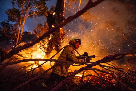 Black Summer bushfires inquiry kicks off – how did we lose 25 lives?