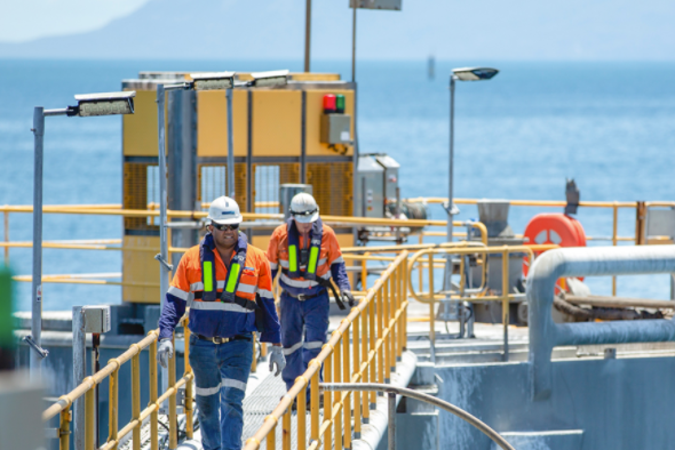 Workers at Adani's NQXT coal terminal, Abbot Point 