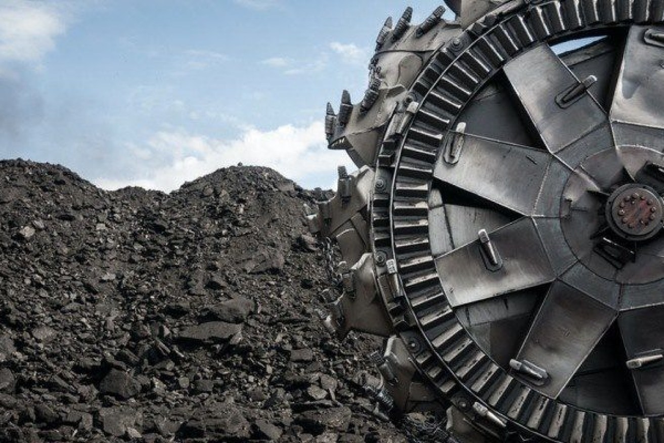 Shares in coal companies have jumped again