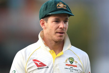 Disgraced Paine wants to play on after quitting skipper’s post over sexting scandal