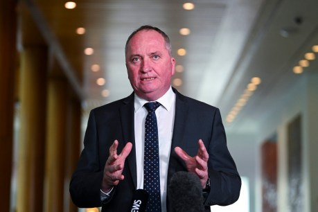 Let’s stick together: Barnaby’s plea for unity as Nats consider carbon push