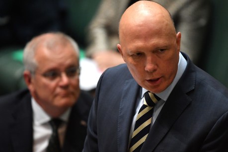 Dutton wins $35,000 defamation suit over six-word ‘apologist’ tweet