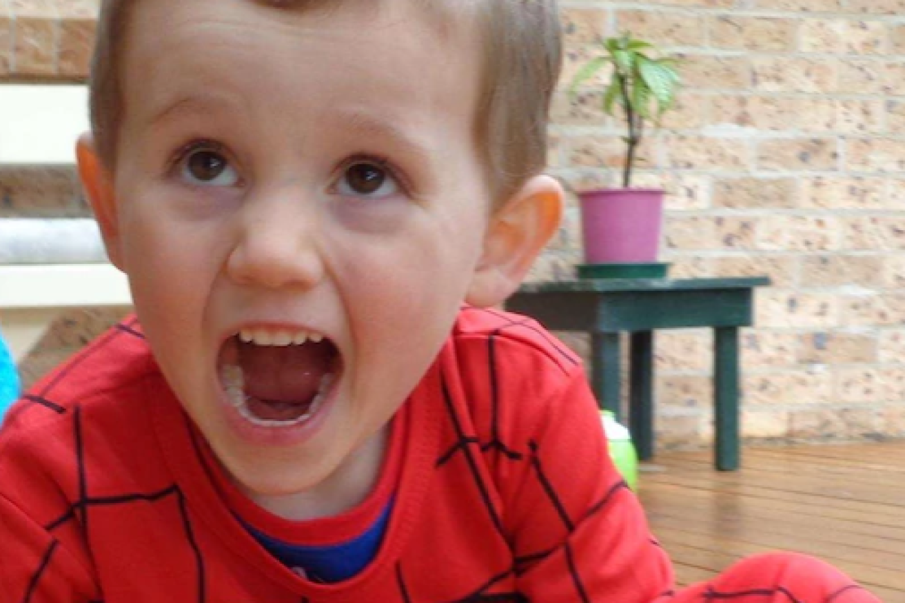William Tyrrell's foster mother has been charged with giving false or misleading evidence. (image supplied).