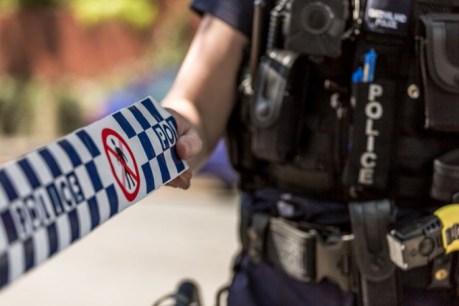 Man in critical condition after Wavell Heights shooting