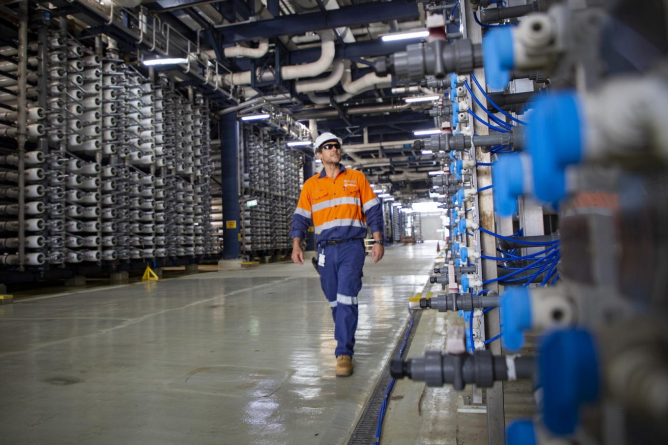 Queensland's desalination plant on the Gold Coast. Energy Minister Mick de Brenni has floated massive investment in desalination to support a domestic hydrogen industry.  