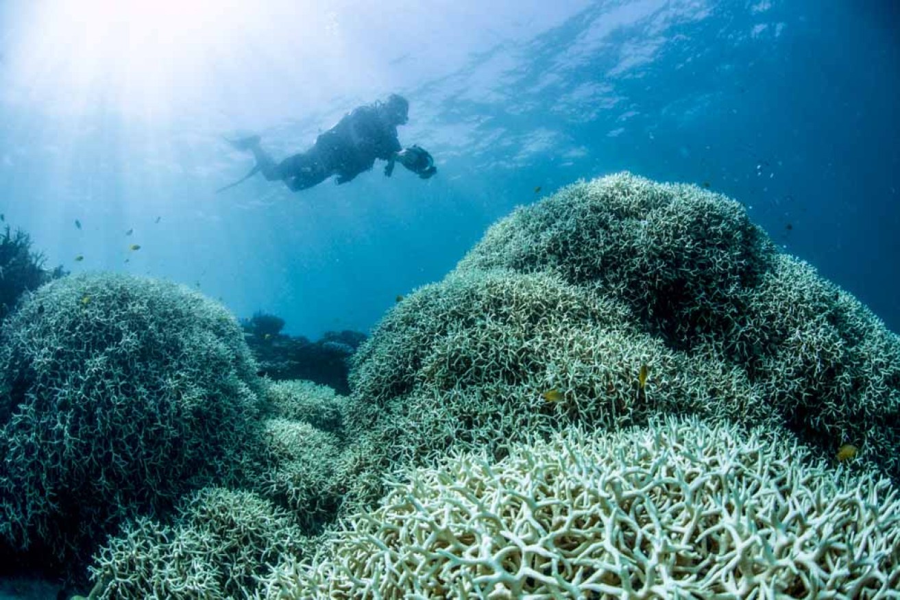University of Queensland will lead a $3 million bid to improve the health of the Great Barrier Reef. (file image).