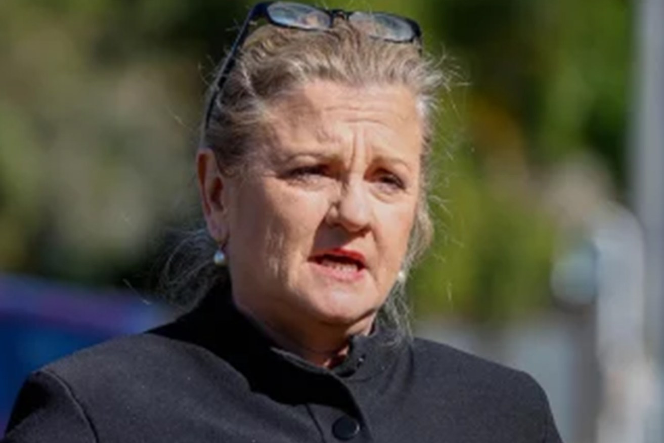 Redlands Mayor Karen Williams is facing mounting pressure to resign after a drink-driving incident last week. (Photo: ABC).