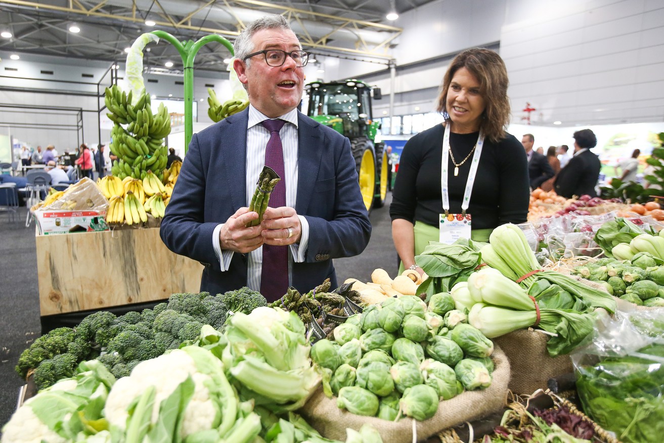 Murray Watt, Federal Minister for Agriculture, Fisheries and Forestry, tours exhibits at the fresh produce industry expo at the Brisbane Convention and Exhibition Centre. (AAP Image/Jono Searle) 