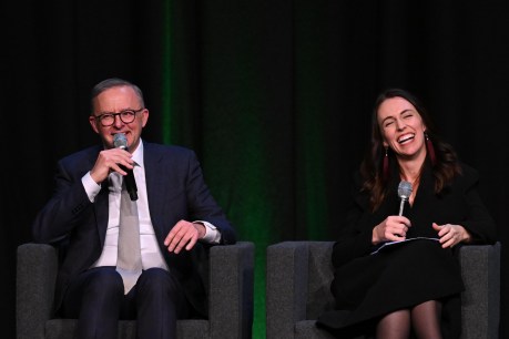Ardern, Albo ask Pacific neighbours to help host UN climate summit