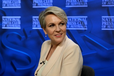 Protect, restore, manage: Plibersek unveils new improved policy mantra for environment
