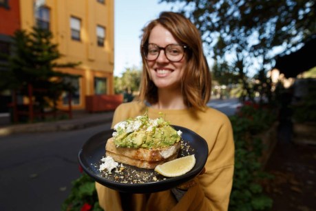 It’s an avo-lanche! Millennials rejoice as record crop slashes cost of doing breakfast