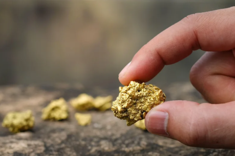 Pacgold’s Alice River project reveals spectacular find